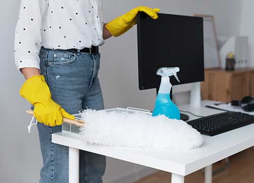 Dusting regular cleaning Westchester