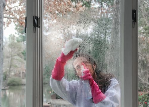 Professional window cleaning team